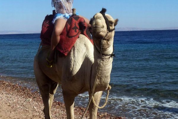Dahab Camel Beach Safari