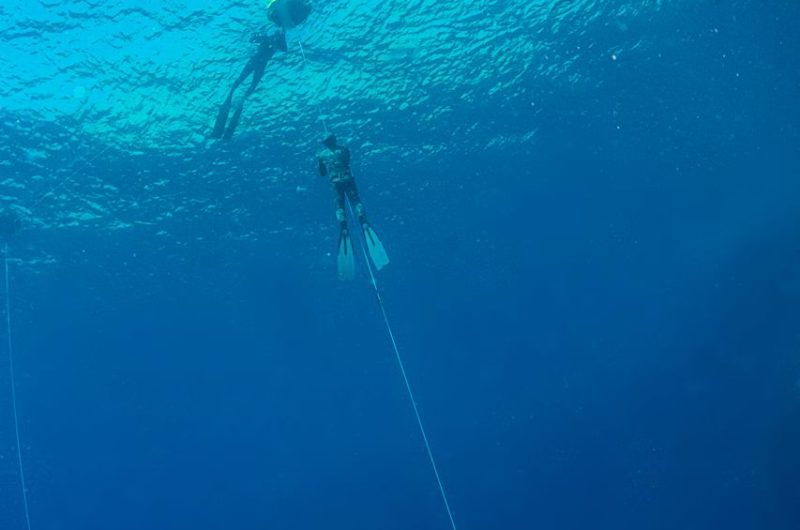 Divers Underwater in Dahab Diving