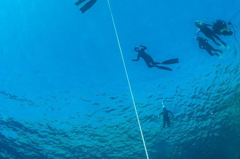 Divers Underwater in Dahab Diving