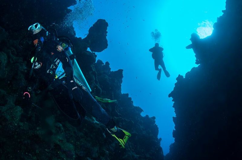 Divers Underwater in Dahab Diving