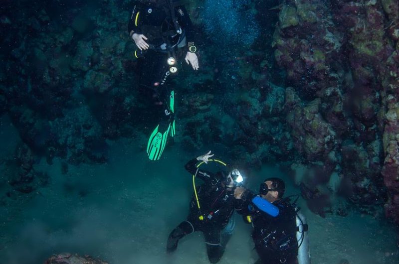 Divers Underwater in Dahab Diving