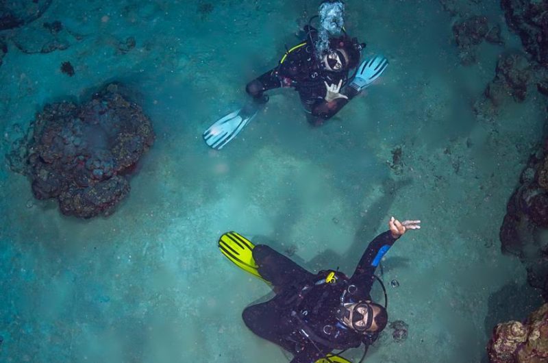 Divers Underwater in Dahab Diving