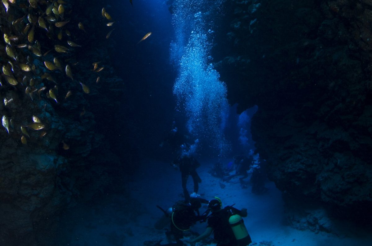 Divers Underwater in Dahab Diving 11 Divers Underwater in Dahab Diving