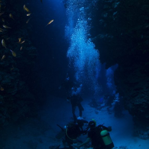 Divers Underwater in Dahab Diving
